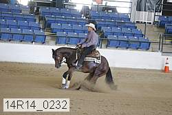 14r14_0232 thumbnail