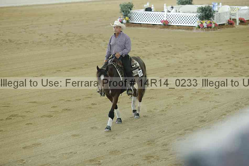 Proof Number 14r14_0233