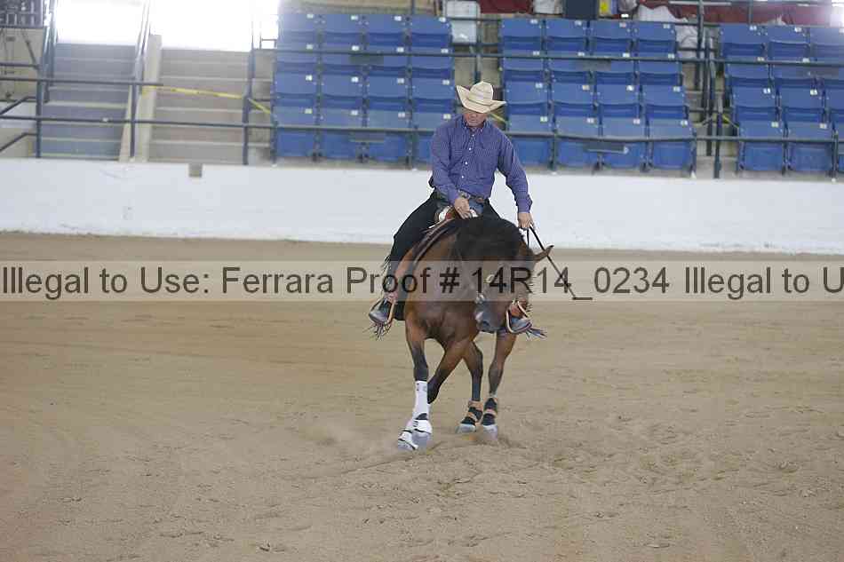 Proof Number 14r14_0234
