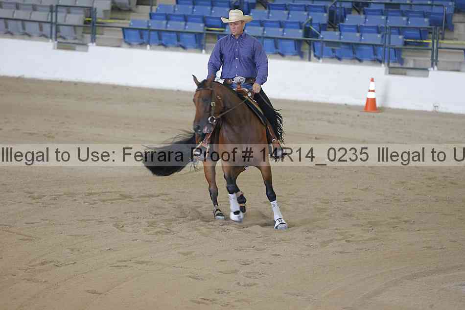 Proof Number 14r14_0235