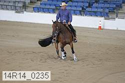 14r14_0235 thumbnail