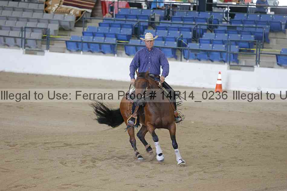 Proof Number 14r14_0236