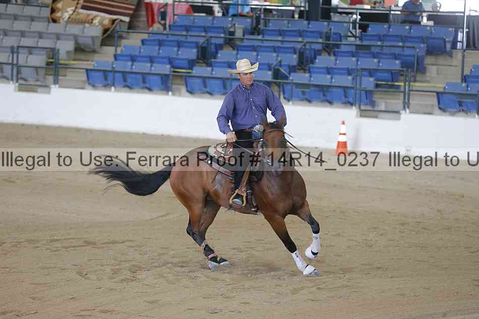Proof Number 14r14_0237