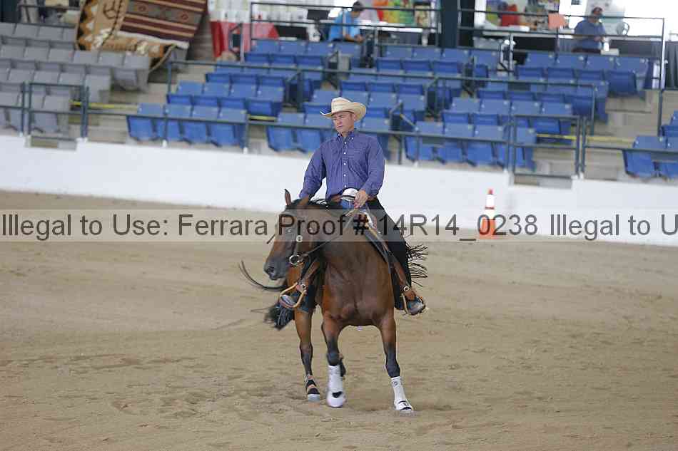Proof Number 14r14_0238