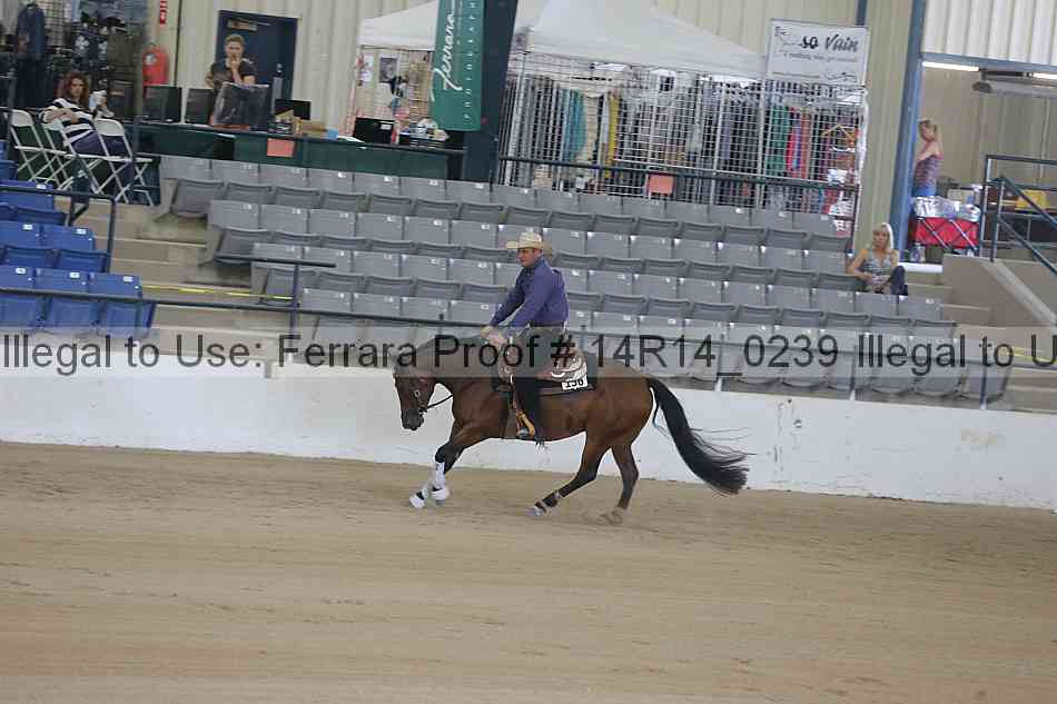 Proof Number 14r14_0239