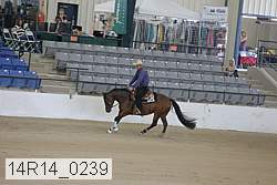 14r14_0239 thumbnail