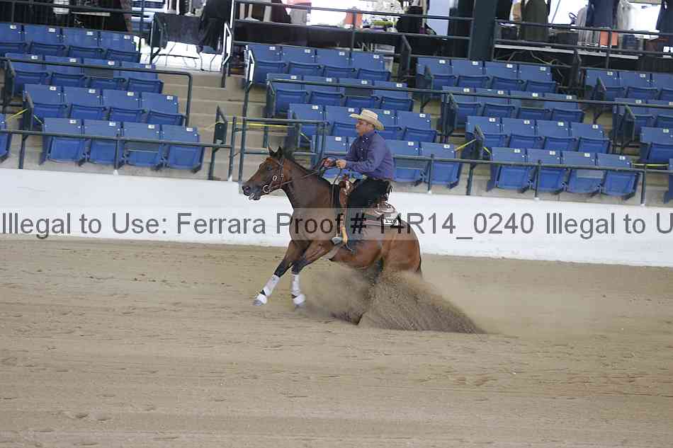 Proof Number 14r14_0240