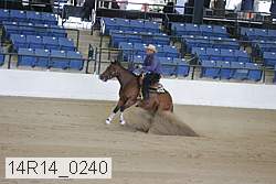14r14_0240 thumbnail