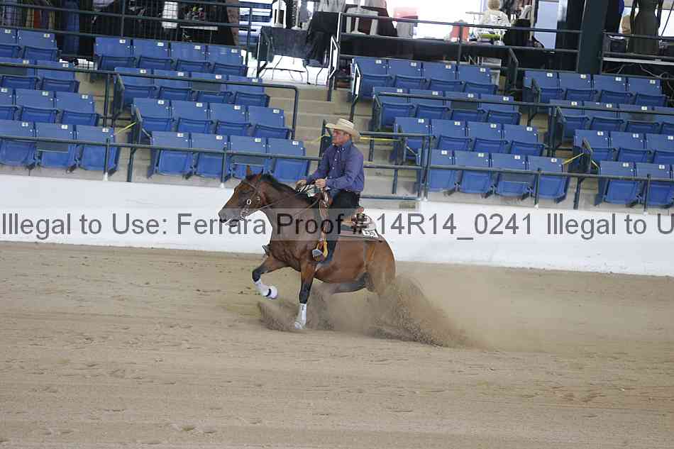 Proof Number 14r14_0241