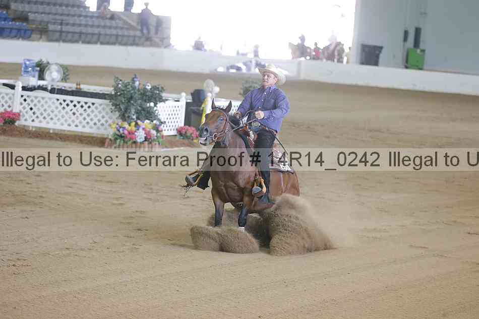 Proof Number 14r14_0242