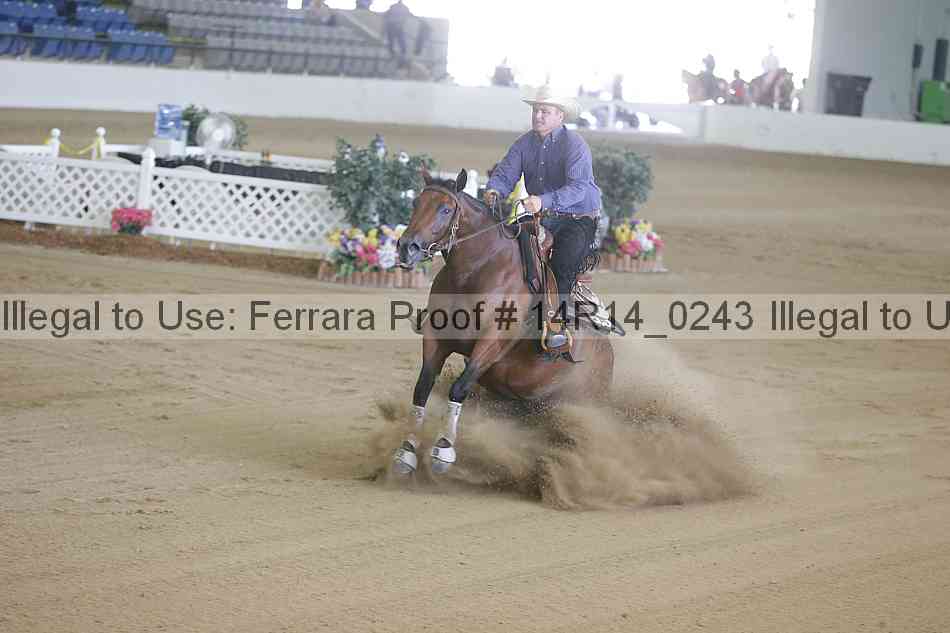 Proof Number 14r14_0243