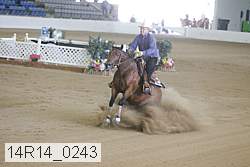 14r14_0243 thumbnail