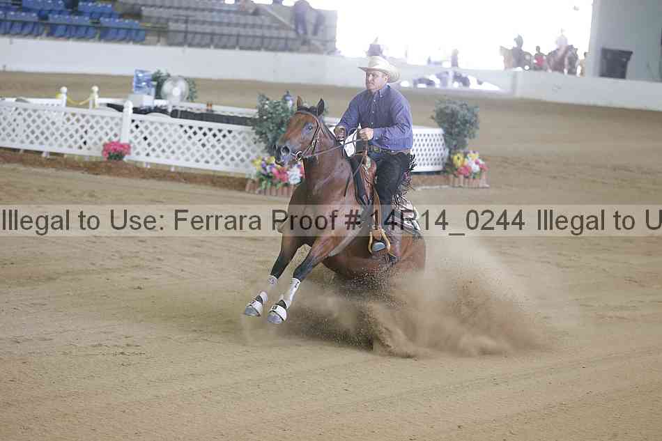 Proof Number 14r14_0244