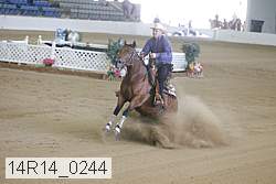 14r14_0244 thumbnail