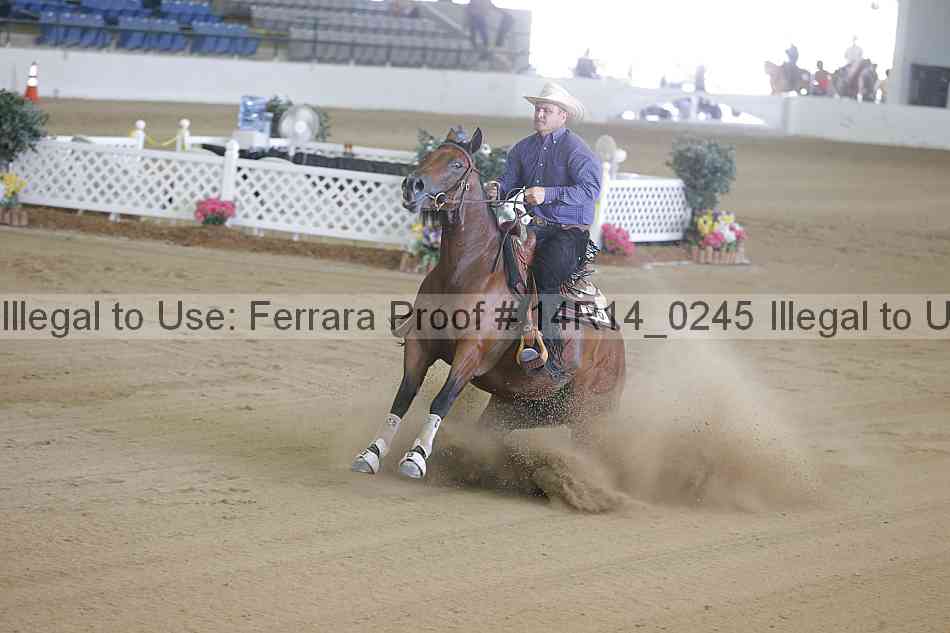 Proof Number 14r14_0245