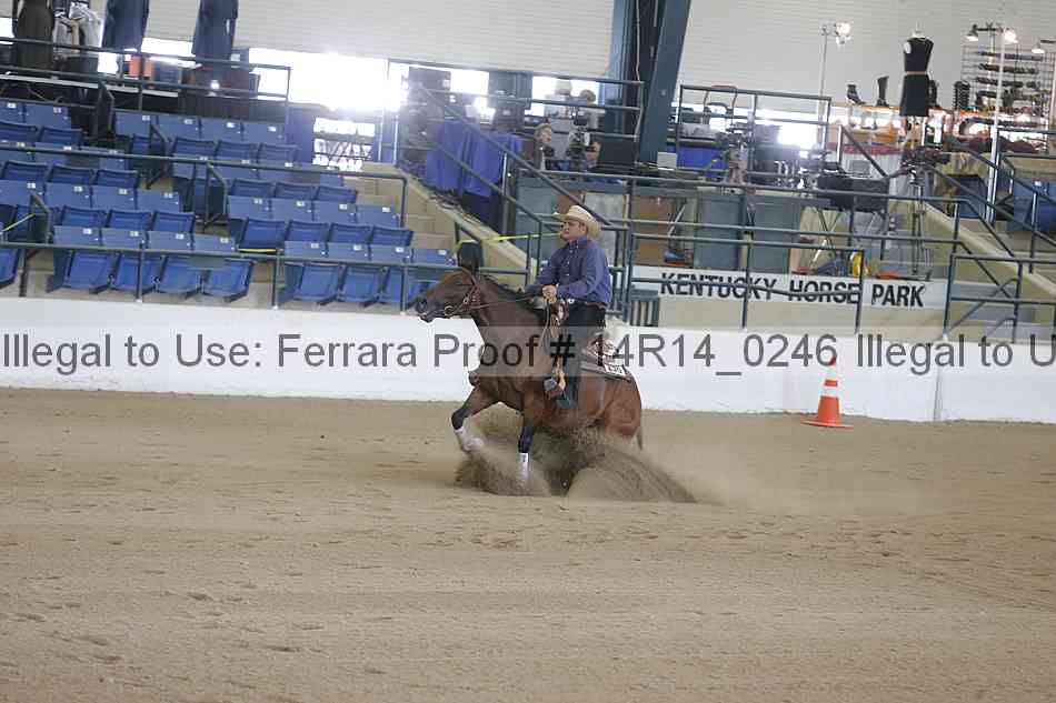 Proof Number 14r14_0246