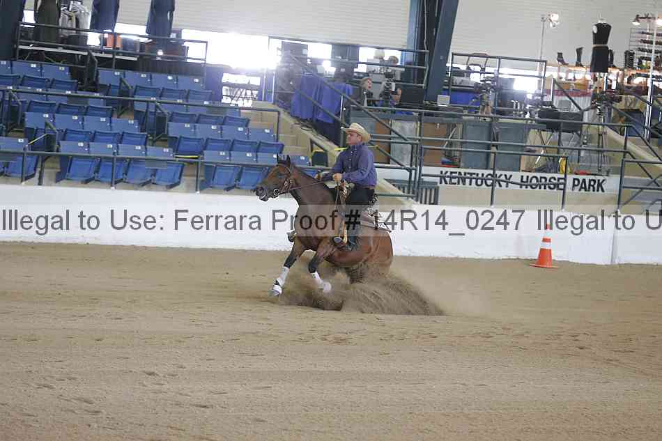 Proof Number 14r14_0247