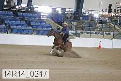 14r14_0247 thumbnail