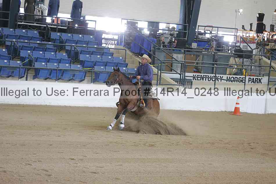 Proof Number 14r14_0248