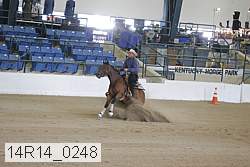 14r14_0248 thumbnail