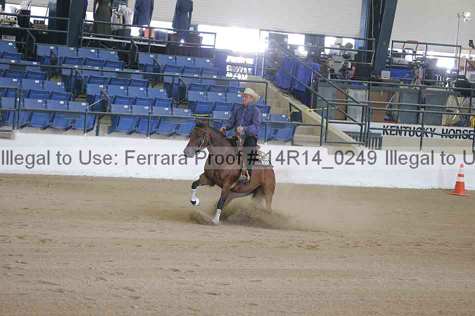 Proof Number 14r14_0249