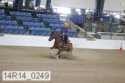 14r14_0249 thumbnail