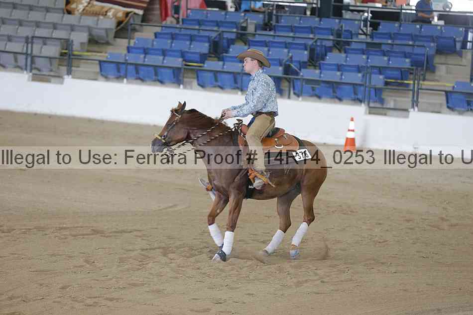 Proof Number 14r14_0253