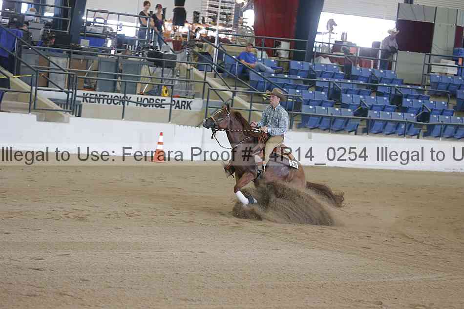Proof Number 14r14_0254