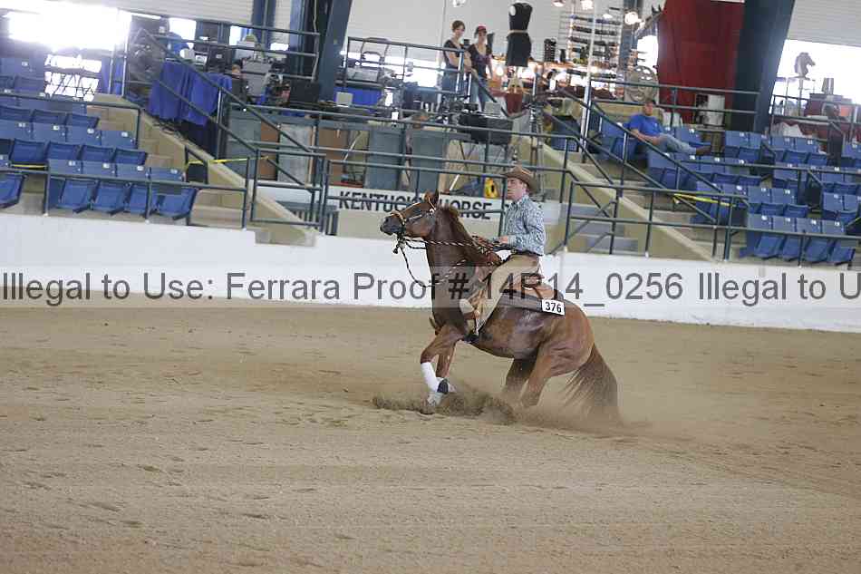 Proof Number 14r14_0256