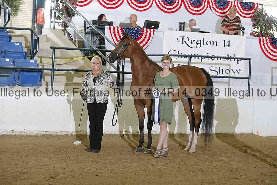 Proof Number 14r14_0349