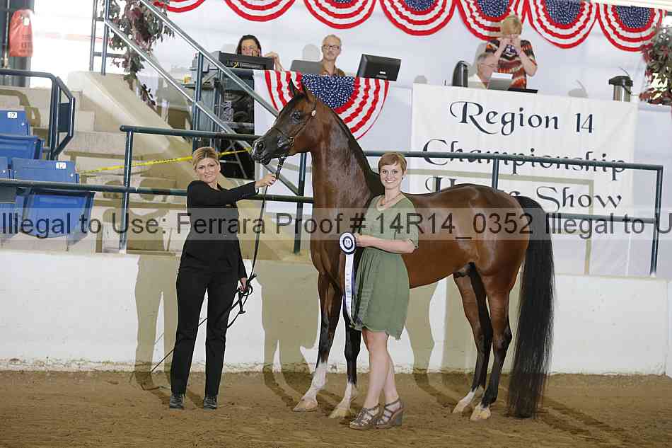 Proof Number 14r14_0352