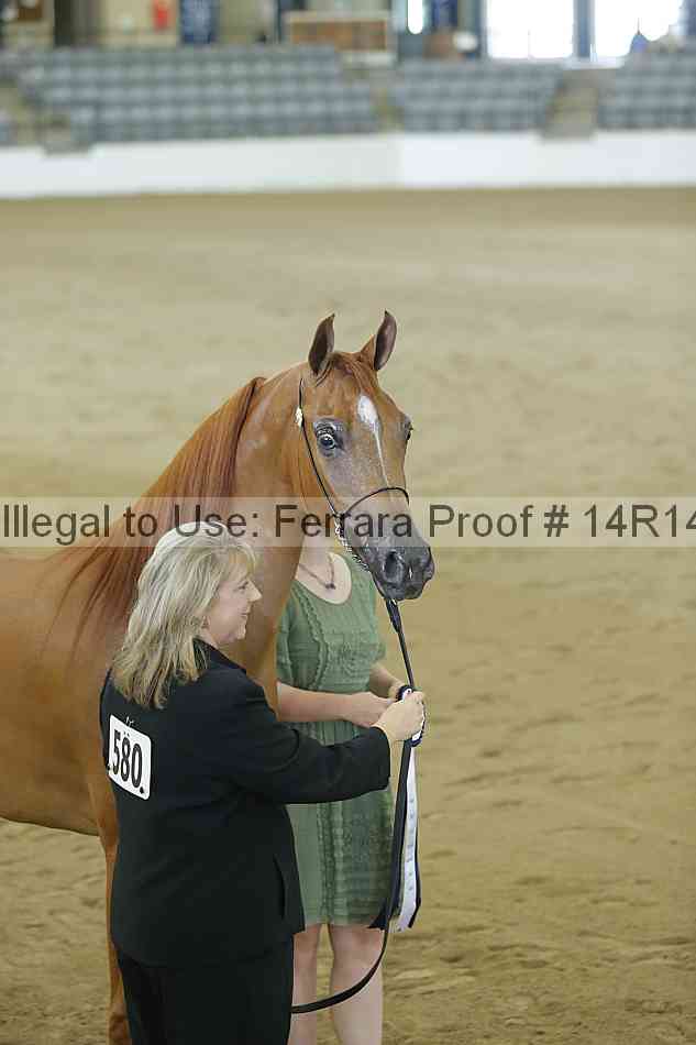 Proof Number 14r14_0360