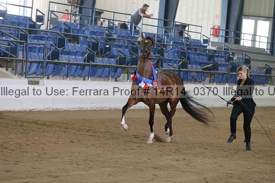 Proof Number 14r14_0370