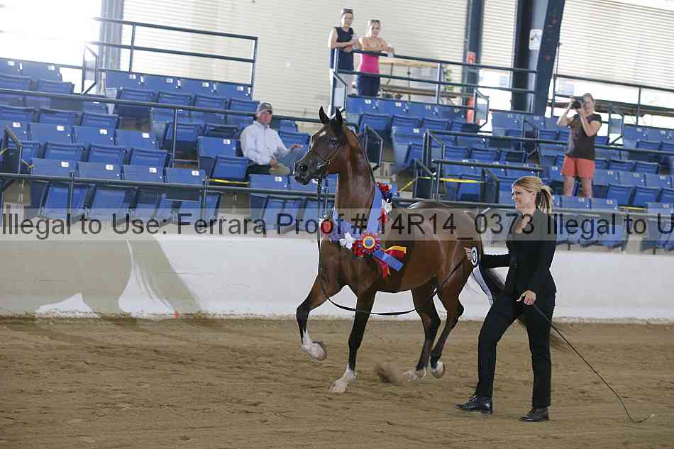 Proof Number 14r14_0373
