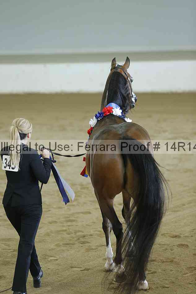 Proof Number 14r14_0374