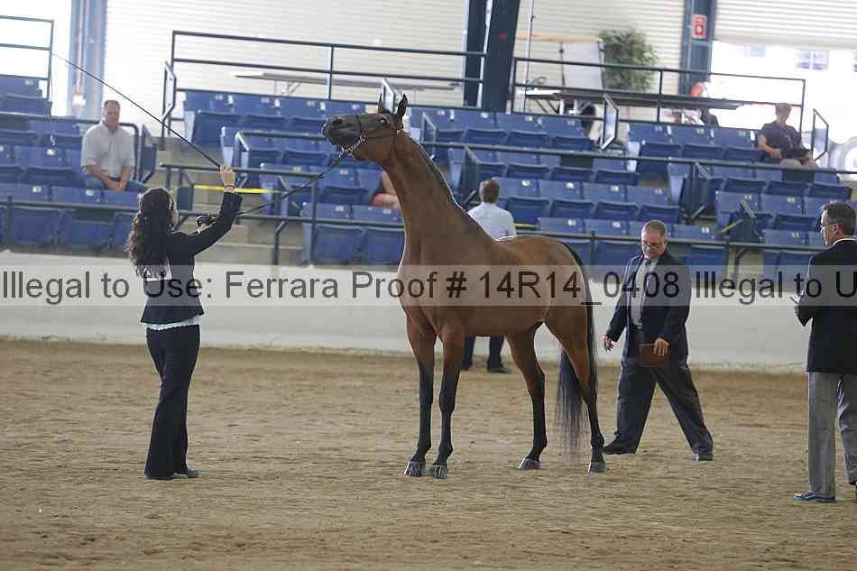 Proof Number 14r14_0408