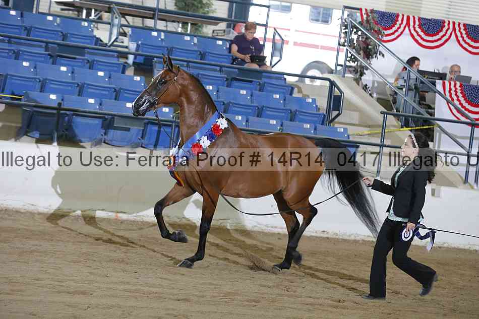 Proof Number 14r14_0417