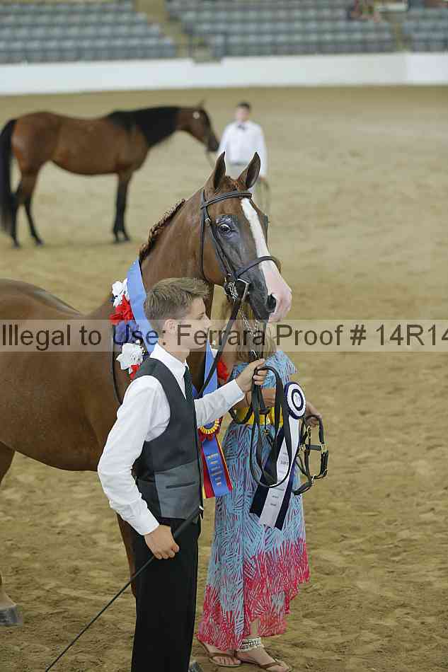 Proof Number 14r14_0465