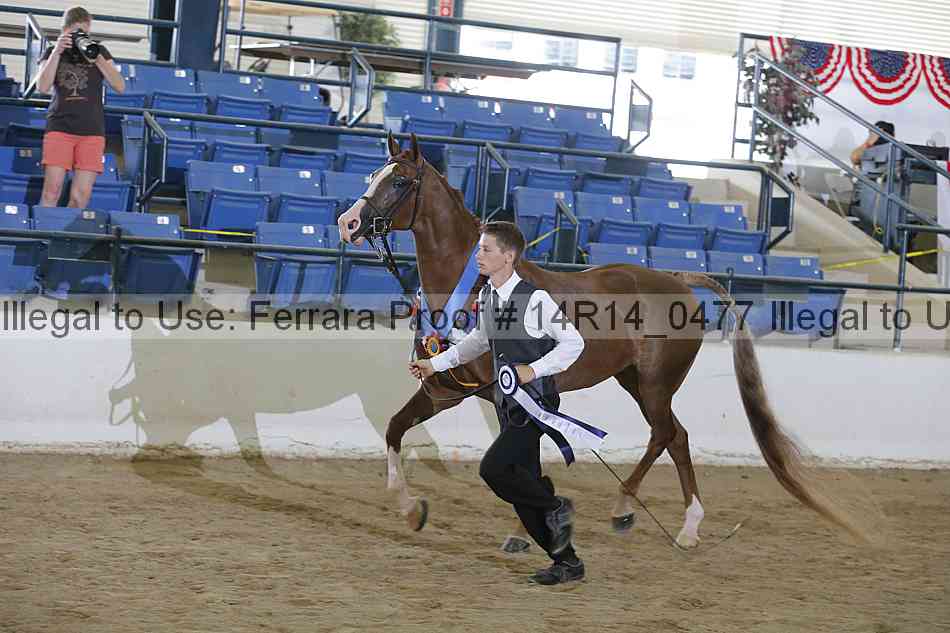 Proof Number 14r14_0477