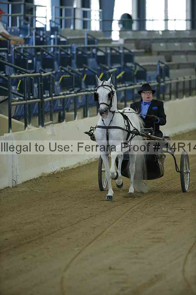Proof Number 14r14_0498