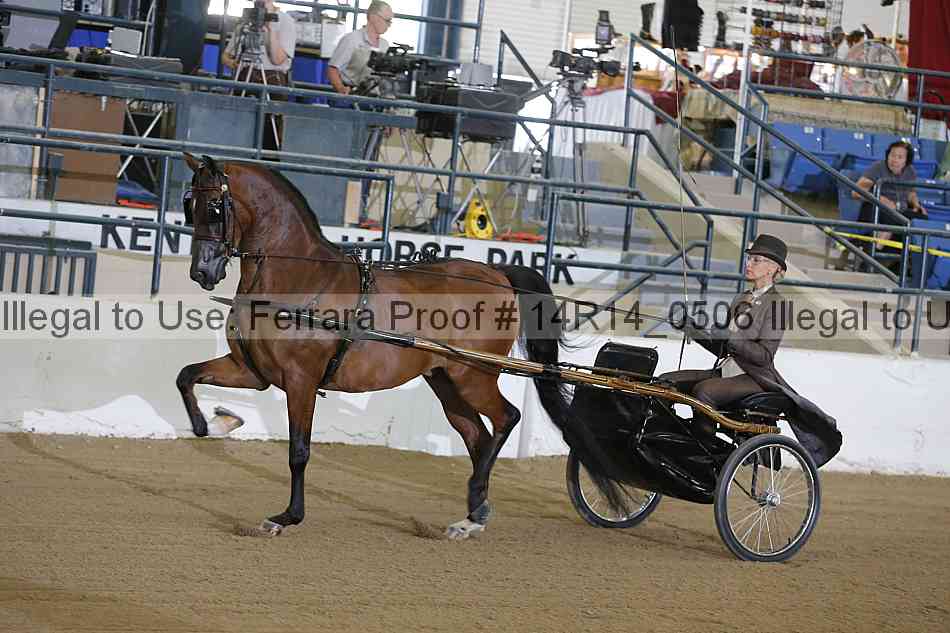Proof Number 14r14_0506