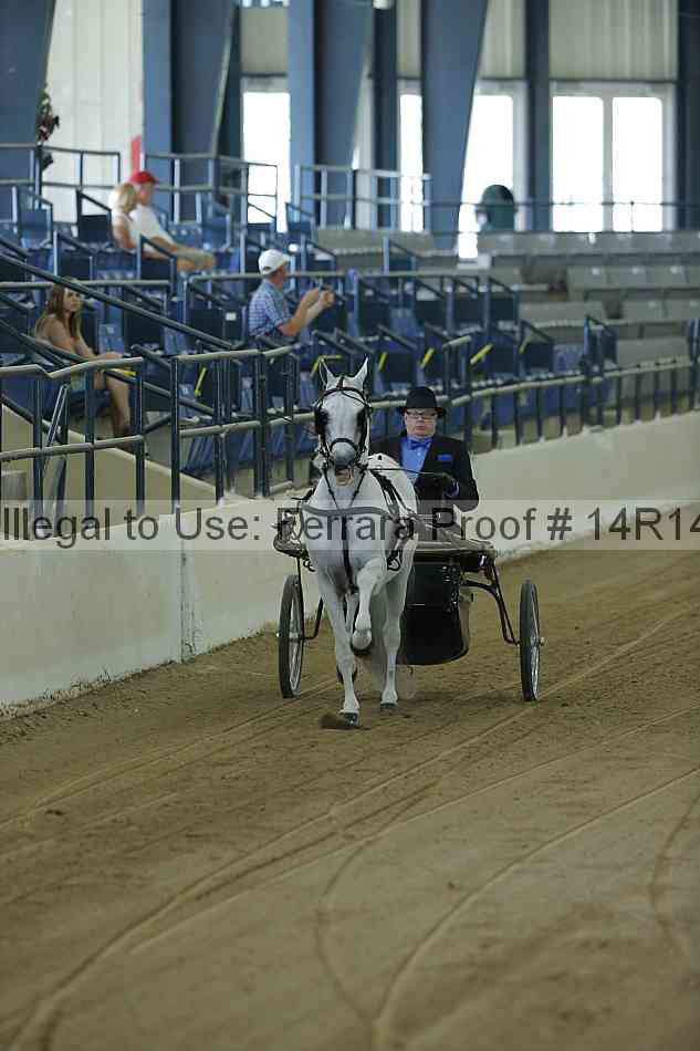 Proof Number 14r14_0507