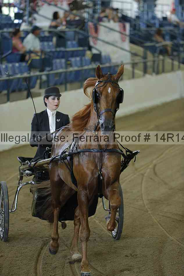 Proof Number 14r14_0512