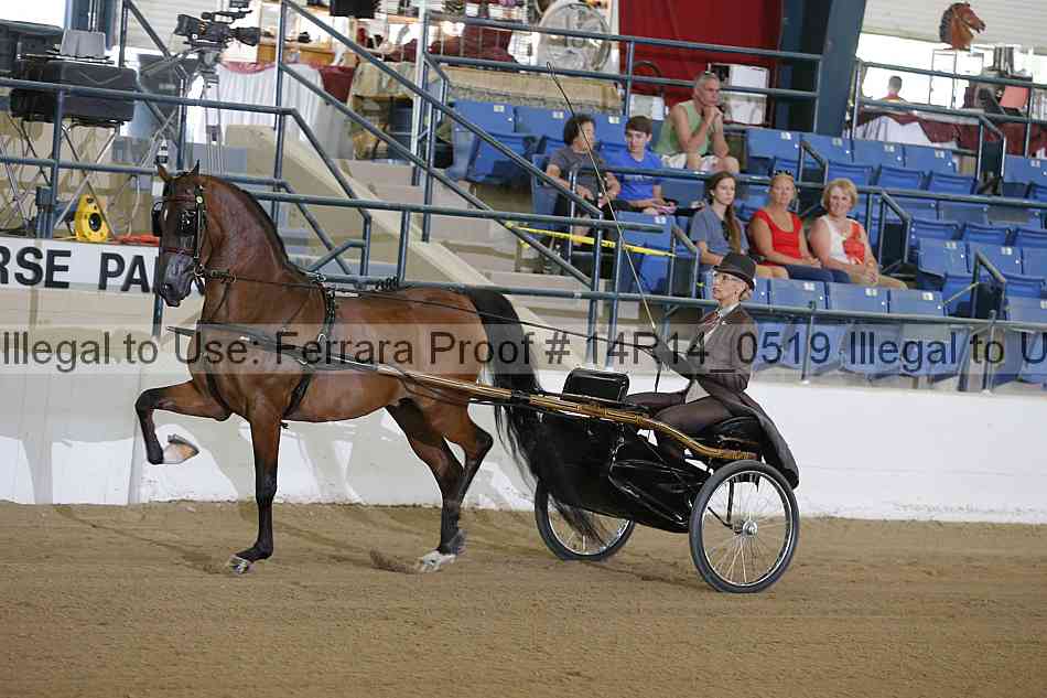 Proof Number 14r14_0519