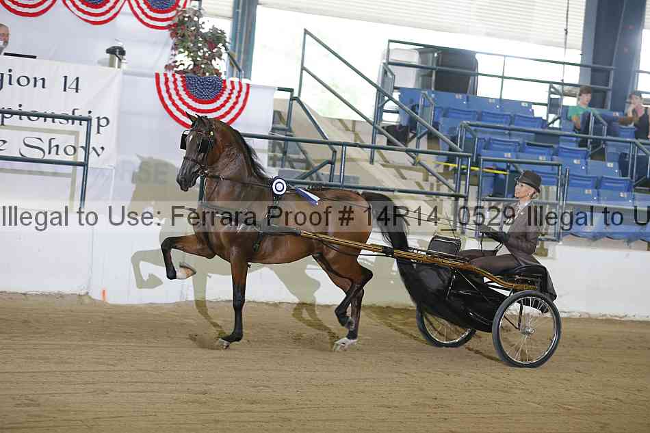 Proof Number 14r14_0529