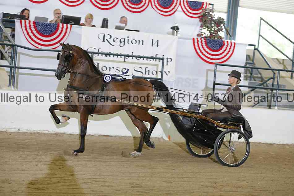 Proof Number 14r14_0530