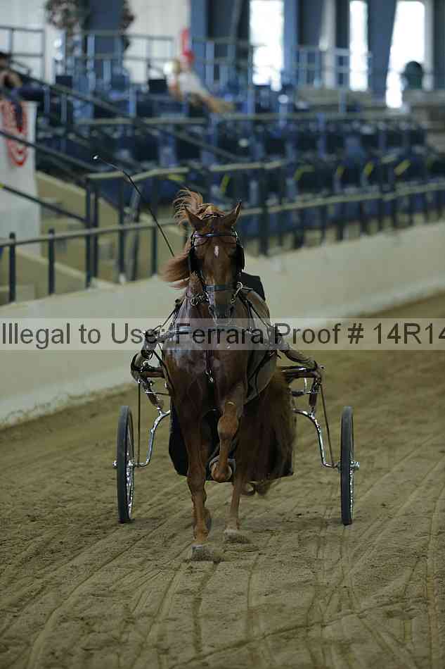 Proof Number 14r14_0539