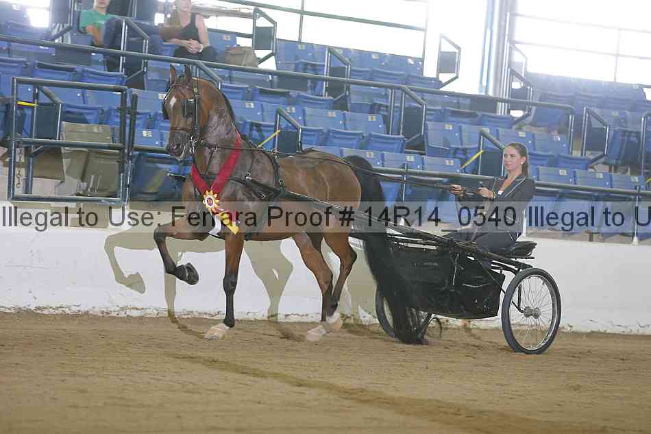 Proof Number 14r14_0540