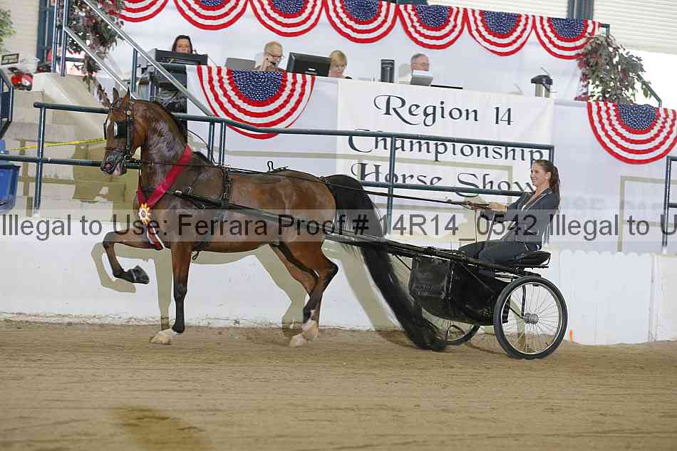 Proof Number 14r14_0542