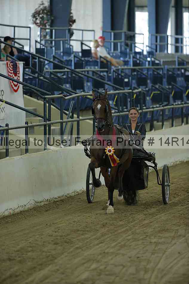 Proof Number 14r14_0543